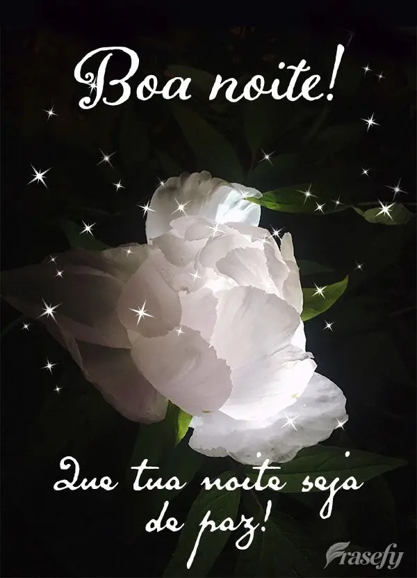 Que tua noite seja de paz! Boa noite!
