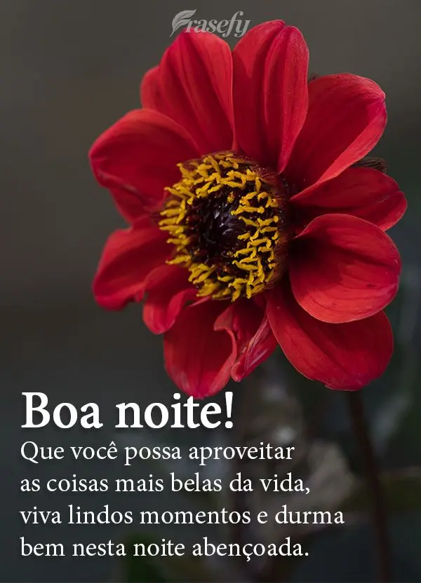 Que você possa aproveitar as coisas mais belas da vida. Viva lindos momentos e durma bem nesta noite abençoada. Boa noite!