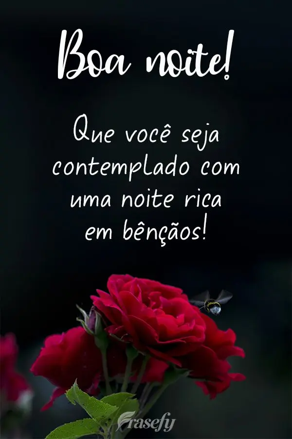 Que você seja contemplado com uma noite rica em bênçãos! Boa noite! 