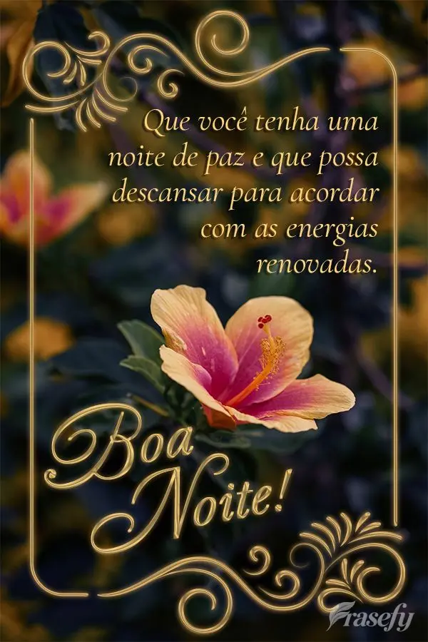 Que você tenha uma noite de paz e que possa descansar para acordar com as energias renovadas. Boa noite!