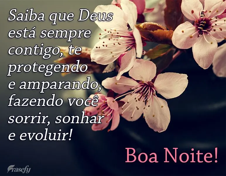 Saiba que Deus está sempre contigo, te protegendo e amparando, fazendo você sorrir, sonhar e evoluir! 
 Boa Noite!
