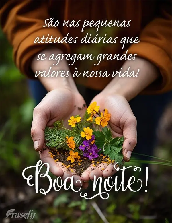 São nas pequenas atitudes diárias que se agregam grandes valores à nossa vida! Boa noite!