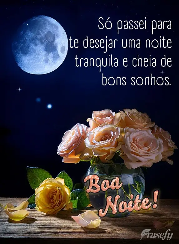 Só passei para te desejar uma noite tranquila e cheia de bons sonhos. Boa noite!