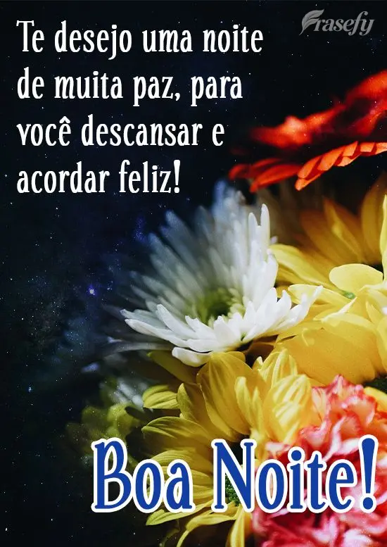 Te desejo uma noite de muita paz, para você descansar e acordar feliz!
  Boa Noite!