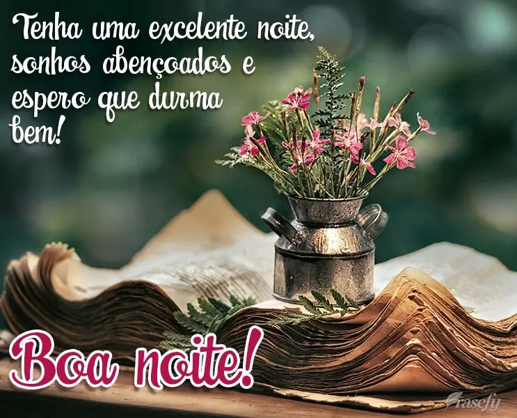 Tenha uma excelente noite com sonhos abençoados. Espero que durma bem! Boa noite!