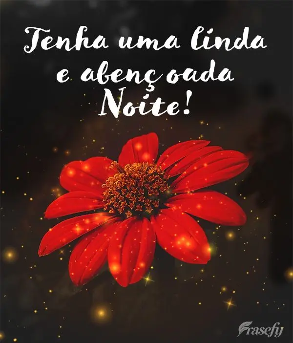 Tenha uma linda e abençoada Noite!