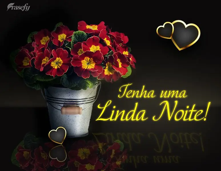 Tenha uma Linda noite!