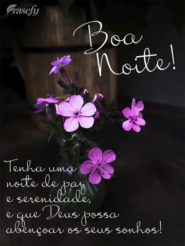 Tenha uma noite de paz e serenidade, e que Deus possa abençoar os seus sonhos! Boa noite!