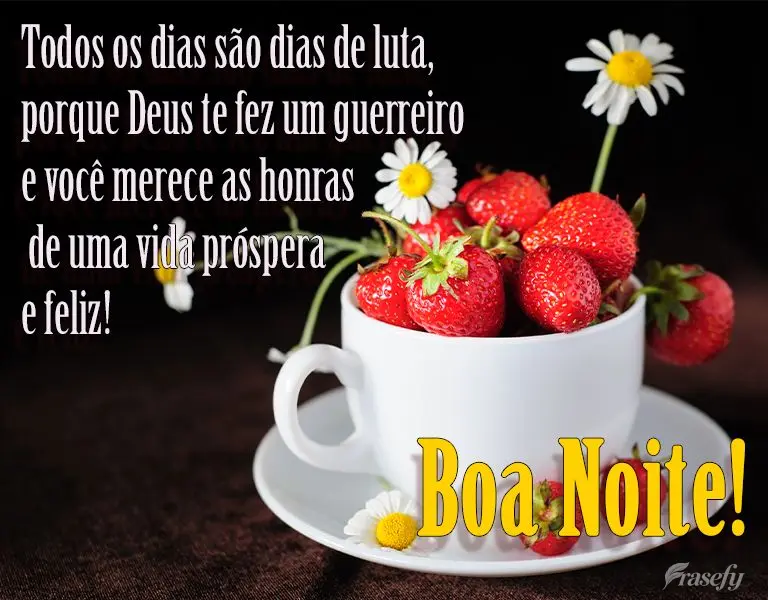 Todos os dias são dias de luta, porque Deus te fez um guerreiro e você merece as honras de uma vida próspera e feliz! 
 Boa Noite!