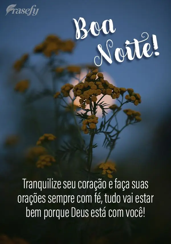 Tranquilize seu coração e faça suas orações sempre com fé, tudo vai estar bem porque Deus está com você! Boa noite!