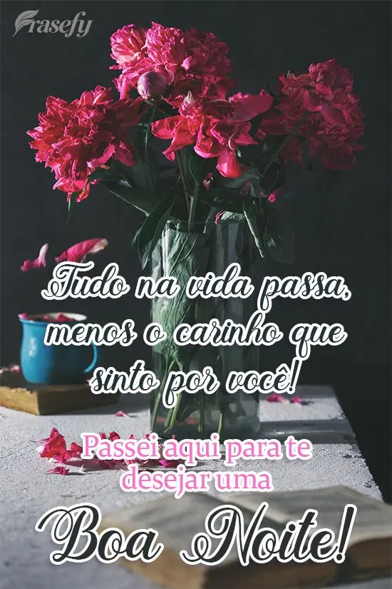 Tudo na vida passa, menos o carinho que sinto por você!  Passei aqui para te desejar uma Boa Noite!
