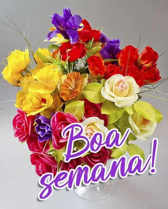 Boa semana!
