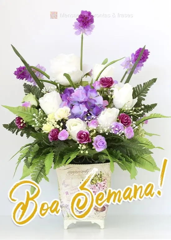 Boa Semana!
