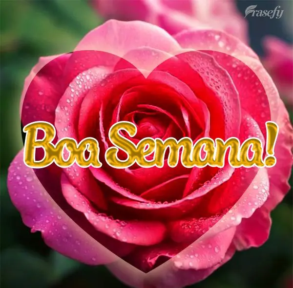 Boa Semana!