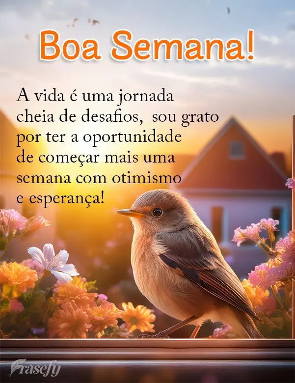 A vida é uma jornada cheia de desafios,  sou grato por ter a oportunidade de começar mais uma semana com otimismo e esperança! Boa Semana!
