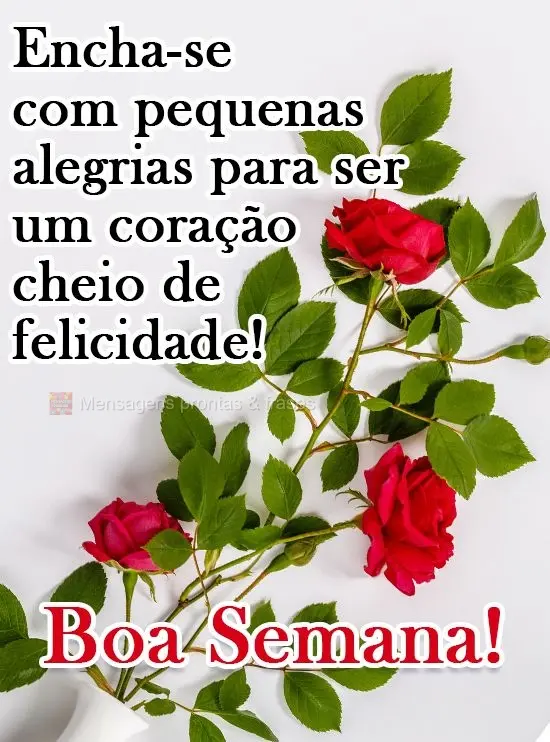 Encha-se com pequenas alegrias para ser um coração cheio de felicidade! 
 Boa Semana!