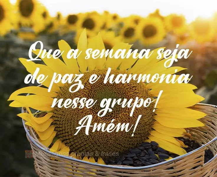 Que a semana seja de paz e harmonia nesse grupo! Amém!
