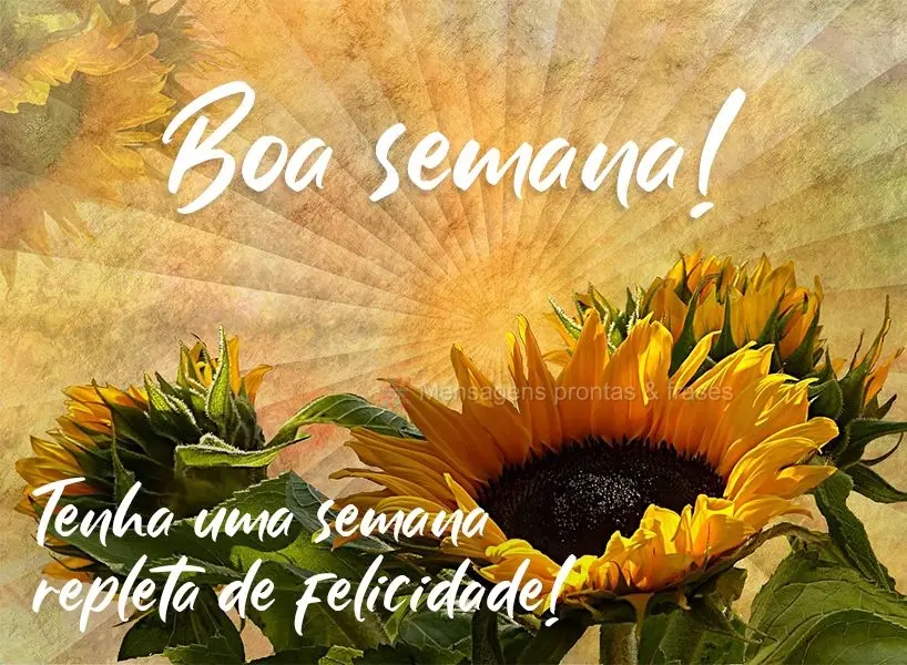 Tenha uma semana repleta de felicidade! 
 Boa semana!