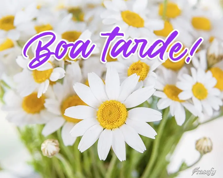 Boa tarde!
