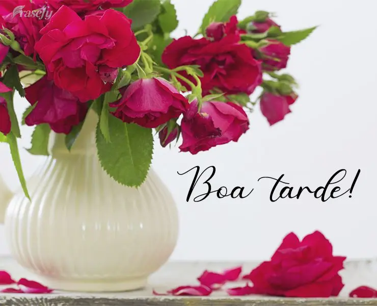 Boa tarde!
