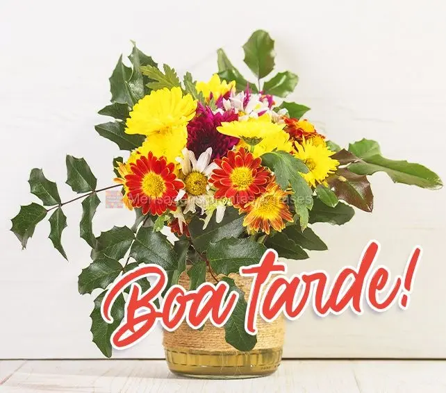 Boa tarde!

