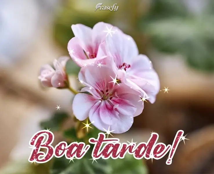 Boa tarde!

