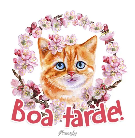 Boa tarde!
