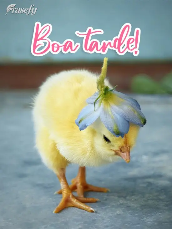 Boa tarde!
