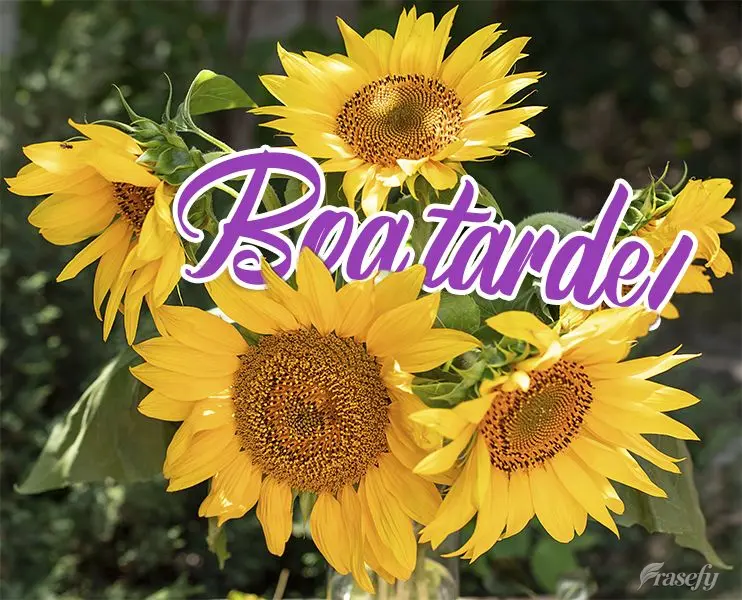 Boa tarde!