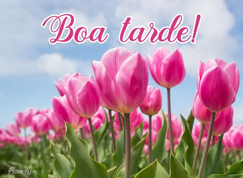Boa tarde!