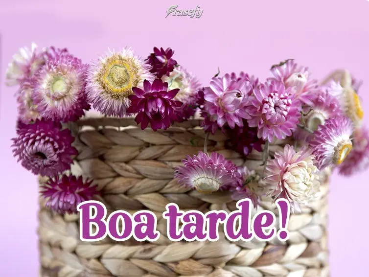 Boa tarde!