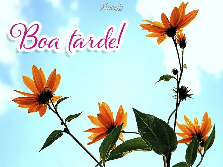 Boa tarde!