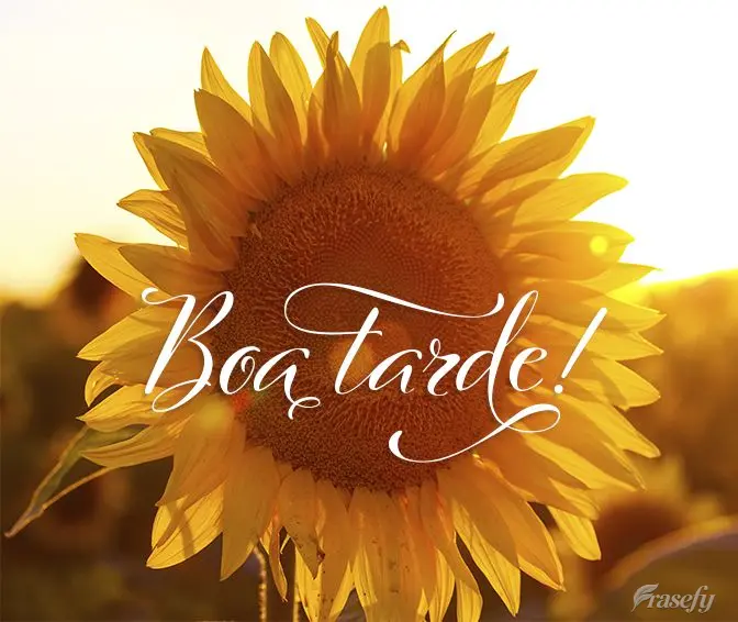 Boa tarde!