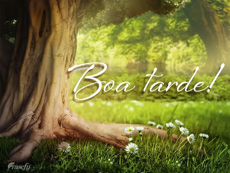 Boa tarde!