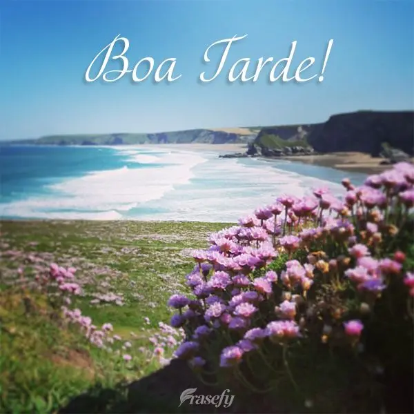 Boa tarde!