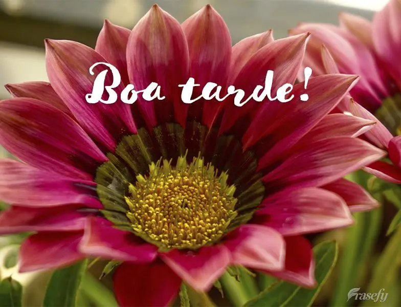 Boa tarde!