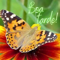 Boa tarde!