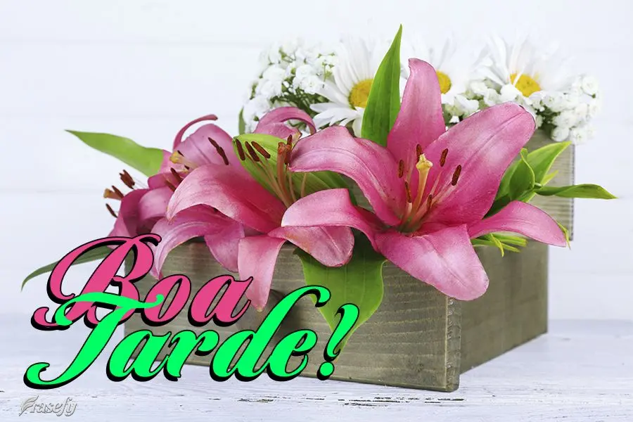 Boa tarde!
