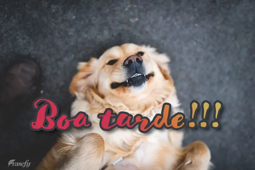 Boa tarde!!!