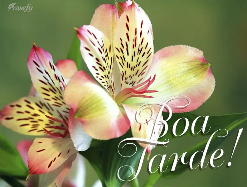 Boa tarde!