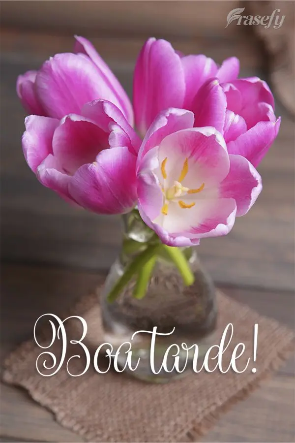 Boa tarde!
