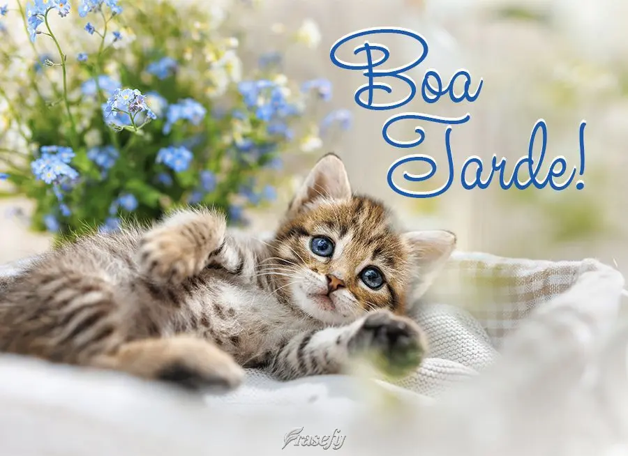 Boa tarde!