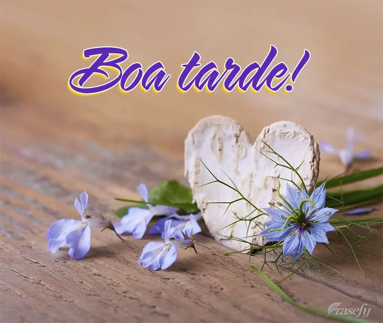 Boa tarde!
