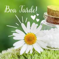 Boa tarde!