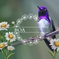 Boa tarde!