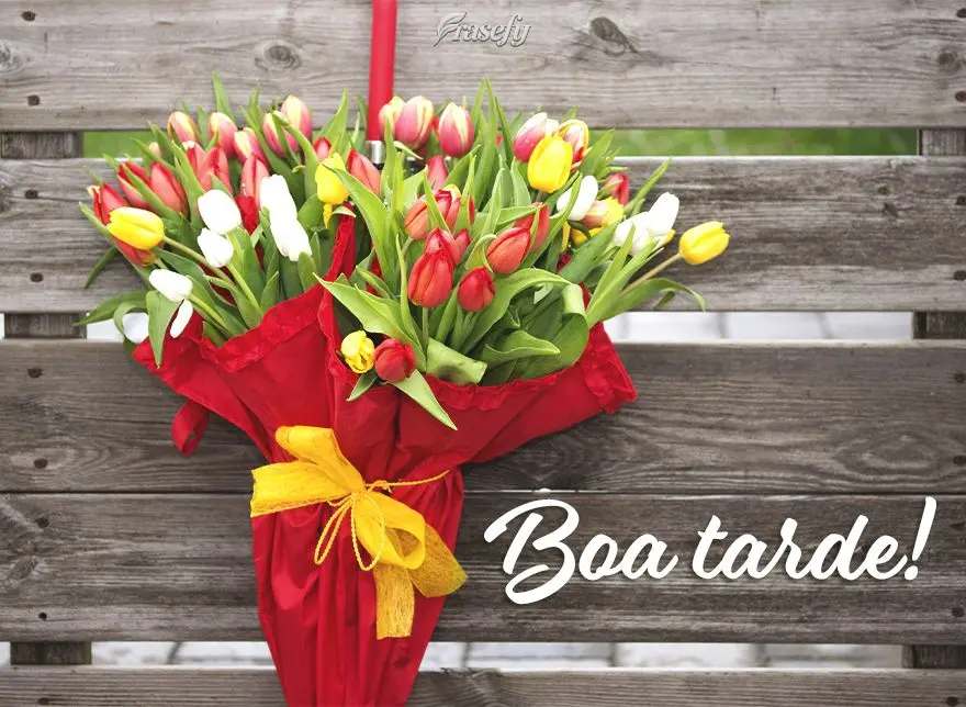 Boa tarde!