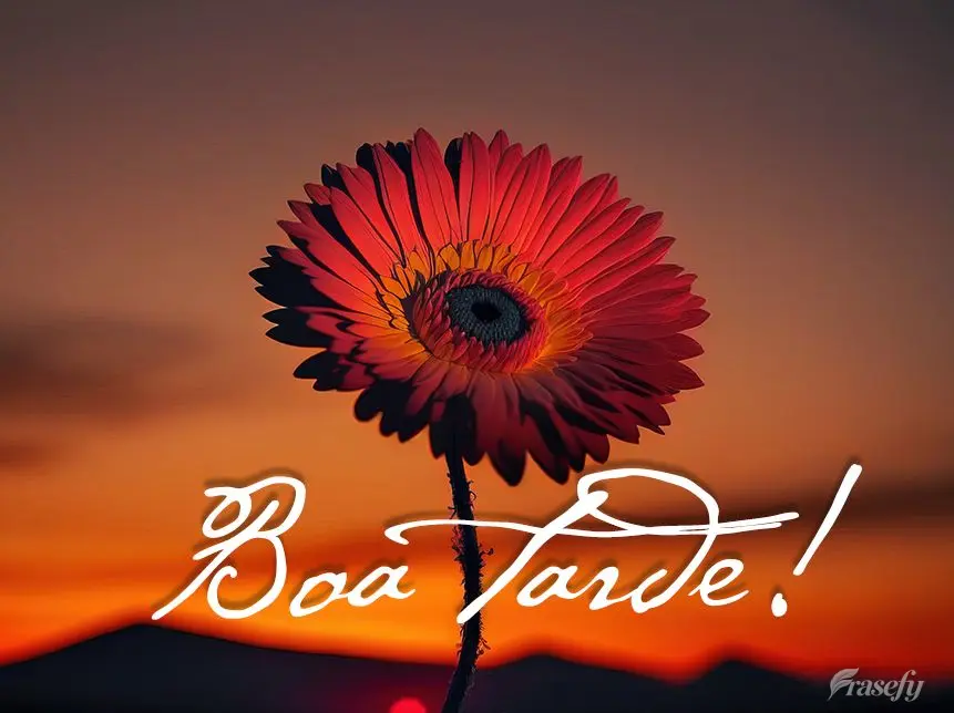 Boa tarde!