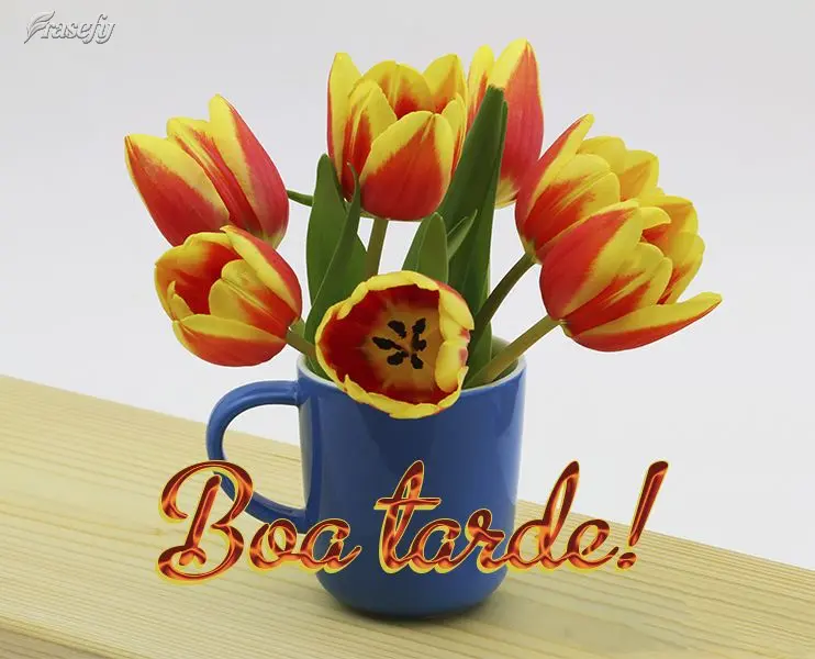 Boa tarde!