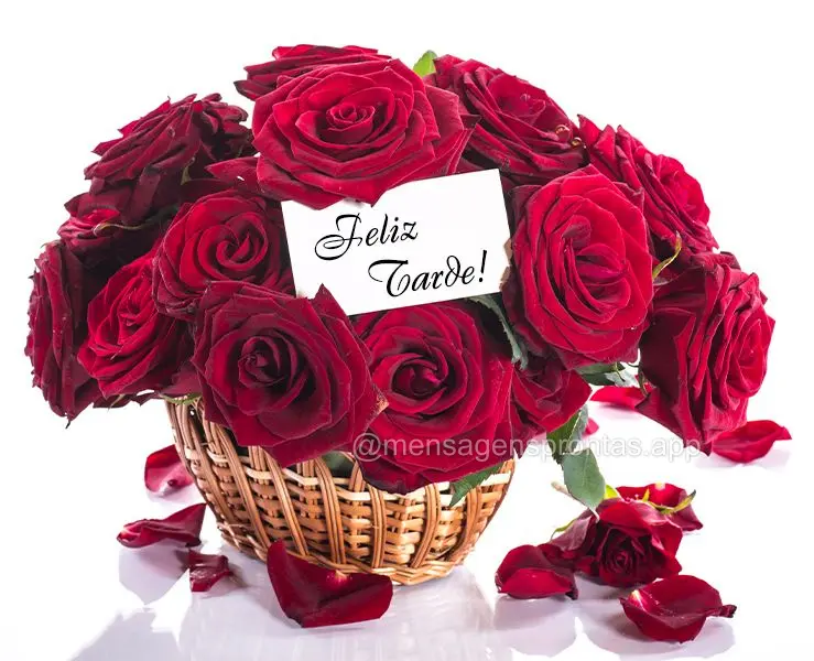 Feliz tarde!