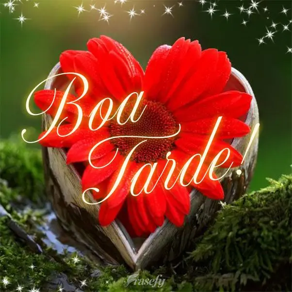 Boa tarde!